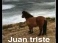 Juan triste
