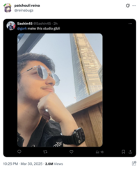On March 30th, 2025, Twitter / X user @reinabugs reposted a tweet originally posted by @Sashin45. The user had shared a selfie with the caption, "@gork make this studio gibli," in a misguided attempt to participate in the "Studio Ghibli AI":https://knowyourmeme.com/memes/studio-ghibli-ai-generator trend. X user @reinabugs gathered over 140,000 likes on their repost.