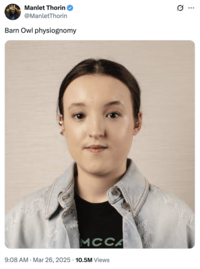 A "tweet":https://knowyourmeme.com/memes/sites/twitter-x about actor Bella Ramsey's face, saying that they have "Barn Owl physiognomy."
