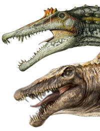 Spinosaurus comparison 