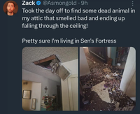 Zack ❤ @Asmongold . 9h Took the day off to find some dead animal in my attic that smelled bad and ending up falling through the ceiling! Pretty sure I'm living in Sen's Fortress