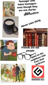 Teenager who hates teenagers even though they are one starter Bef bedtime Never uses slang FOR THE STEAN Friends are old people DHOOD Spies on the neighbour kids from their bedroom GRAMMAR NAZI