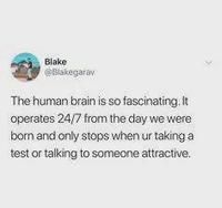 Blake @Blakegarav The human brain is so fascinating. It operates 24/7 from the day we were born and only stops when ur taking a test or talking to someone attractive.