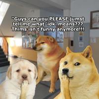 "Guys can you PLEASE jumst tell me what 'idk' means??? Thims isn't funny anymore!!!