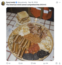 Eyup Lovely ✶@eyuplovely Sep 18, 2024 • The American mind cannot comprehend the BREKKIE : ... 43 1762 665 ❘ 57K ☐ 1