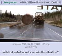 : Anonymous 05/18/25(Sun)07:49:41 No.210686146 ЭТА imagem_2025-05-17_204931186.png 231 KB PNG realistically, what would you do in this situation?