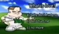 What is love? a) baby don'thunt me b) don't hurt me c) no more