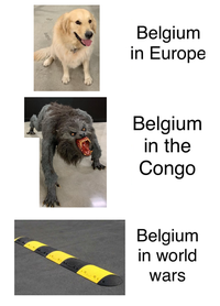 Belgium in Europe Belgium in the Congo Belgium in world wars