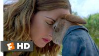 The Fandango "YouTube":https://knowyourmeme.com/memes/sites/YouTube thumbnail of Peter Rabbit touching his head to Rose Byrne's head in a scene from the 2018 film _Peter Rabbit_.