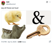 "Chick," "&," "jaw," "key" which forms the name "Chicken Jockey":https://knowyourmeme.com/memes/chicken-jockey-minecraft-movie from "_A Minecraft Movie_":https://knowyourmeme.com/memes/subcultures/a-minecraft-movie.