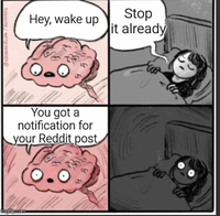 Hey, wake up O You got a notification for your Reddit post imgflip.com Stop it already