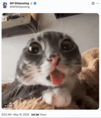 X user @GiFShitposting posted a GIF of Rigby the cat sticking her tongue out, gathering over 20,000 likes in two weeks.