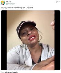 An example of the "propaganda I'm not falling for" meme. The meme calls out Labubu Doll love.