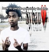 A "meme":https://knowyourmeme.com/memes/memes mocking people who find the SYBAU Lazer Dim meme funny.