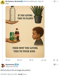 NO FARMERS NO FOOD True. No Farmers, No Food @NoFarmsNoFoods · May 23 Sprit Coca-Cola Minute Maid IF YOU GIVING THIS TO PLANTS THEN WHY YOU GIVING THIS TO YOUR KIDS 562 tz 1.1K 3K ili 12M 1 Skyswimma NG @Skyswimma_NG Ok but why is the ai image piss yellow 2:50 PM May 24, 2025.55.2K Views Q