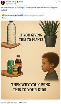 DreamLeaf @DreamLeaf5 Q It's crazy how all Al slop is just tinted yellow now because of the ghibli b------- True. No Farmers, No Food @NoFarmsNoFoods May 23 IF YOU GIVING THIS TO PLANTS Sprite Coca-Cola Minute Maid THEN WHY YOU GIVING THIS TO YOUR KIDS 3:13 PM. May 24, 2025 3.3M Views