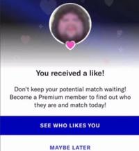 You received a like! Don't keep your potential match waiting! Become a Premium member to find out who they are and match today! SEE WHO LIKES YOU MAYBE LATER