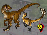 Velociraptor