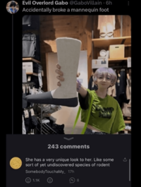 Evil Overlord Gabo @GaboVillain. 6h Accidentally broke a mannequin foot 243 comments She has a very unique look to her. Like some sort of yet undiscovered species of rodent SomebodyTouchaMy_ 17h 1.1K 8