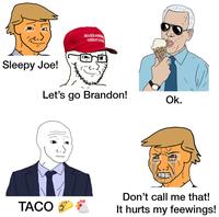 MAKE AMER GREAT AGA Sleepy Joe! Let's go Brandon! Ok. Don't call me that! TACO * It hurts my feewings!