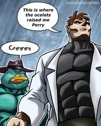 This is where the ocelots raised me Perry Grgrgrgrg @CARTOONSONTHEMOON