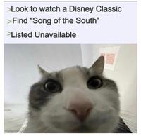 >Look to watch a Disney Classic >Find "Song of the South" >Listed Unavailable imgflip.com