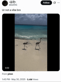 Twitter / X user @eat5G posted the video of a pair of birds walking along the shoreline on a beach before getting knocked over by the incoming tide. The video was captioned, "Ur not a vibe bro," gathering over 81,000 likes in three days. 