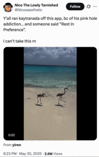 X user @Nicosaesthetic tweeted, "Y’all ran kaytranada off this app, bc of his pink hole addiction… and someone said “Rest In Preference”. I can’t take this rn" The tweet was posted alongside a video of a pair of birds walking along a shoreline before getting wiped out by a wave.