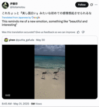 On May 31st, 2025, Japanese X user @itotamotsu posted a tweet that translates to, "This reminds me of a new emotion, something like 'beautiful and interesting'." The post gathered over 100,000 likes in two days.