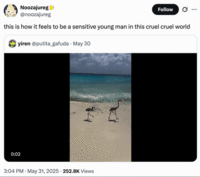 X user @noozajureg reposted the video of two birds walking down a shoreline and falling over after being pushed by a wave. The post gathered over 13,000 likes in two days.