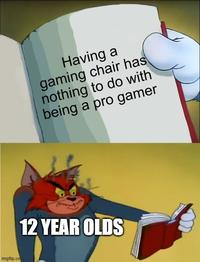 imgflip.com Having a gaming chair has nothing to do with being a pro gamer 12 YEAR OLDS