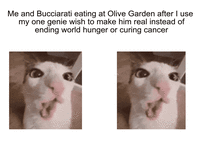 Me and Bucciarati eating at Olive Garden after I use my one genie wish to make him real instead of ending world hunger or curing cancer