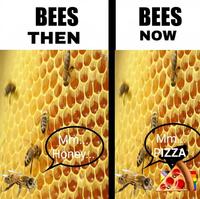 Mmm Honey / Mmm Pizza meme