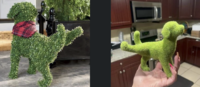 This supposed lawn ornament