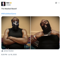 The original "tweet":https://knowyourmeme.com/memes/sites/twitter-x of "NBA":https://knowyourmeme.com/memes/cultures/basketball player James Harden wearing a ""Blue Lives Matter":https://knowyourmeme.com/memes/blue-lives-matter" "Punisher Skull":https://knowyourmeme.com/memes/punisher-skull mask.