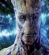Groot staring meme