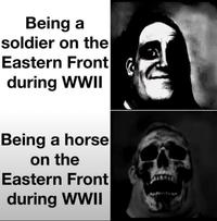 Being a soldier on the Eastern Front ( during WWII Being a horse on the Eastern Front during WWII