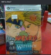 W-- is this? Games for Windows TR PC CD GAME KREATIVITAS 3+ HATED NABURO WATERBOY TALE ROY FROM ATLANTIS The Best Game Of the Year