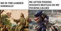 ME IN THE GARDEN NORMALLY ME AFTER FINDING INVASIVE BEETLES ON MY F------ LILLIES LTR