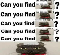 Can you find Can you find Can you find Can you find Can you find Can you find Can you find Can you find Can you find Can you find Can you find Can you find Can you find Can you find Can you find 22 2222 222 ? ?