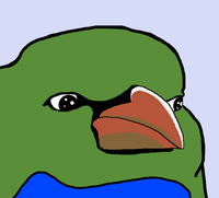 Bird pepe