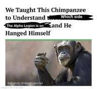We Taught This Chimpanzee to Understand Which side The Alpha Legion is on and He Hanged Himself Full story: thehardtimes.net made with mematic