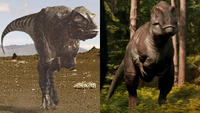 WWD Trex