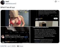 A "tweet":https://knowyourmeme.com/memes/sites/twitter-x condemning male X users for abusing "Grok AI":https://knowyourmeme.com/memes/sites/grok-ai to manipulate photos of women on the app.