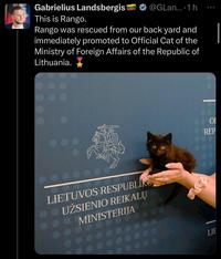 Gabrielius Landsbergis This is Rango. @GLan....1h 600 Rango was rescued from our back yard and immediately promoted to Official Cat of the Ministry of Foreign Affairs of the Republic of Lithuania. LIETUVOS RESPUBLIK UŽSIENIO REIKALŲ MINISTERIJA LIE 이 REP