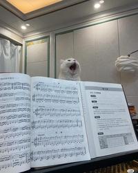 符的双手练习开 第一遍弹这一小节 " 47 取 Moderato Allegretto 48 % 1 2 3 2 3 144 legato Allegretto 49 《我就要去内未河畔放牧) A:10A大调奏曲 第六级 巴洛克機順 作品简介 SARA 2 Alessandro Scart, 0-1725) 19 拿波里乐源创地人,因此謂真看意大发演的风格能不足为奇,作案时使用的是易變 (钢琴,那么表们用现代钢琴演奏时可造出增加行傳須作 1.虽然是一首已洛克作品,但名圣同样要得出优美的旋律,模仿太湾表歌唱。 「文第二段前半部分(第1-22小节)较为紧者,要进一步提出力,层层传记,给予更长线务。 4、作品有大量装饰音,都是女高音教活的一部分,防止何一种装饰着记通会有不同的真言,更 成长记录 9ARHESE 103 MUSIC MUSIC MUSIC TRICARIC MINIC ATRIC KIRIC ATRIC ASICS A/BIC /SIC ASIC AIRICATED 梨 小红书