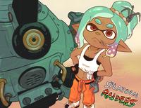 SPLATOON RAIDERS