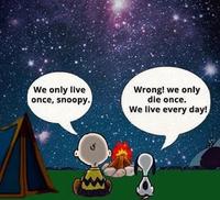 We only live once, snoopy. Wrong! we only die once. We live every day!