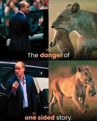 The danger of one sided story.