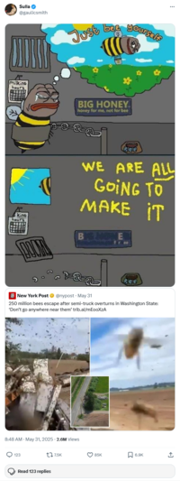 Sulla @gaulicsmith Just bee yourself milking hours BIG HONEY honey for me, not for bee R Kino hours Bee WE ARE ALL GOING TO MAKE IT free Ree New York Post @nypost May 31 250 million bees escape after semi-truck overturns in Washington State: 'Don't go anywhere near them' trib.al/mEooXzA 8:48 AM - May 31, 2025 - 2.6M Views 123 17.5K Read 123 replies 85K 6.9K ↑